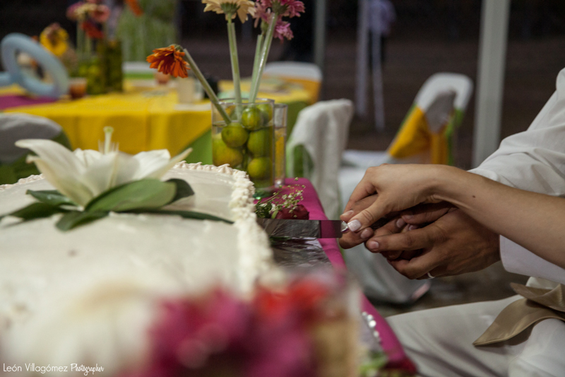 Nice's Wedding (Blog) (854)