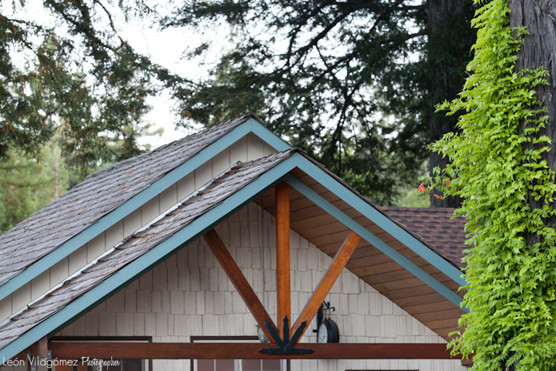 Lisa & Brian's Wedding (Blog)-5