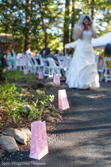 Lisa & Brian's Wedding (Blog)-85