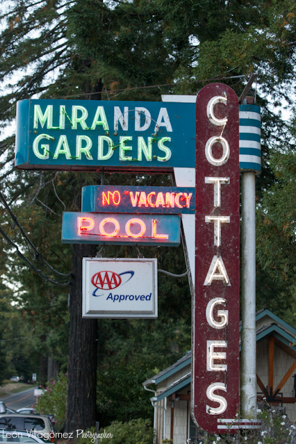 Lisa & Brian's Wedding (Blog)-95