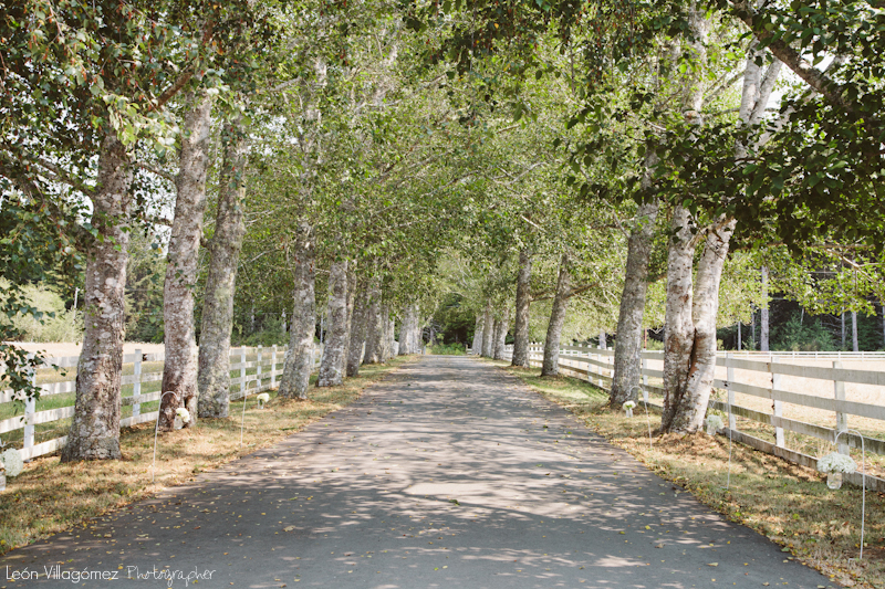 Jael & Kevin (Blog)-3