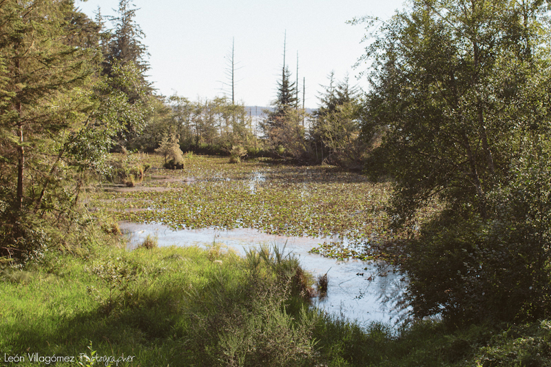 Jael & Kevin (Blog)-30