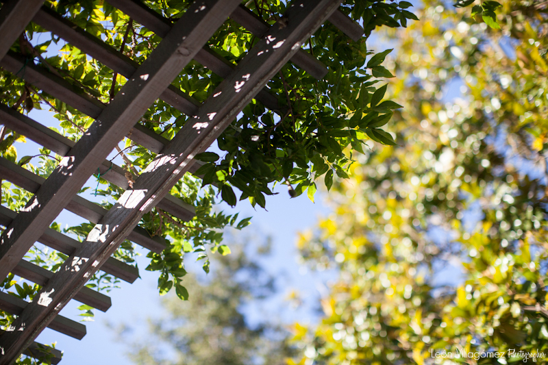 Linda's-Reunion-(217-of-236)