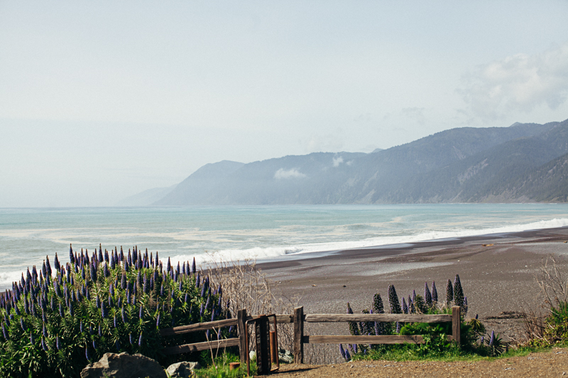 Amber & Sean (Blog)-18