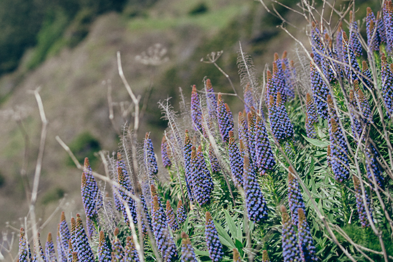 Amber & Sean (Blog)-19