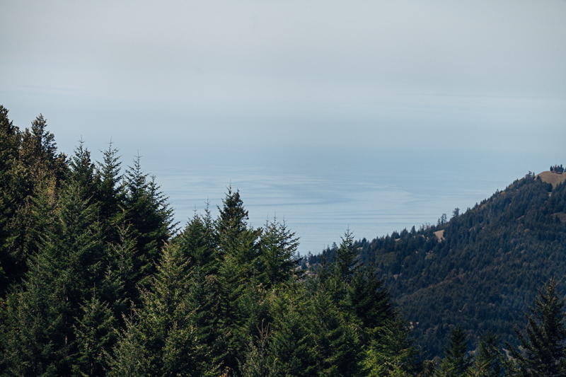 Amber & Sean (Blog)-2