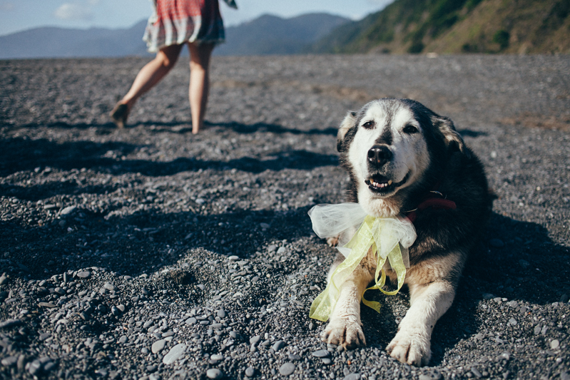 Amber & Sean (Blog)-57