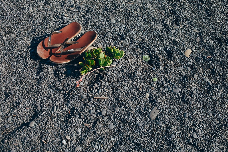 Amber & Sean (Blog)-59