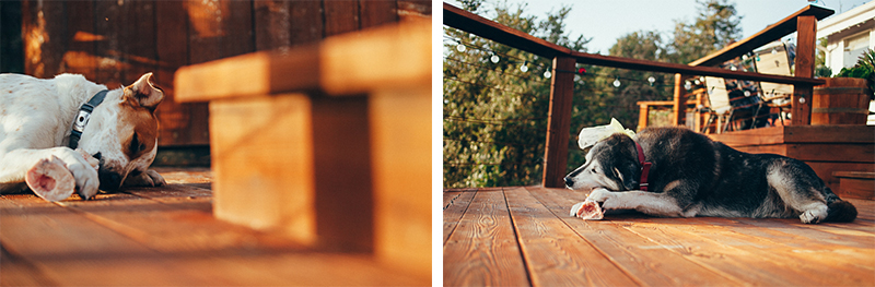 Amber & Sean (Blog)-88