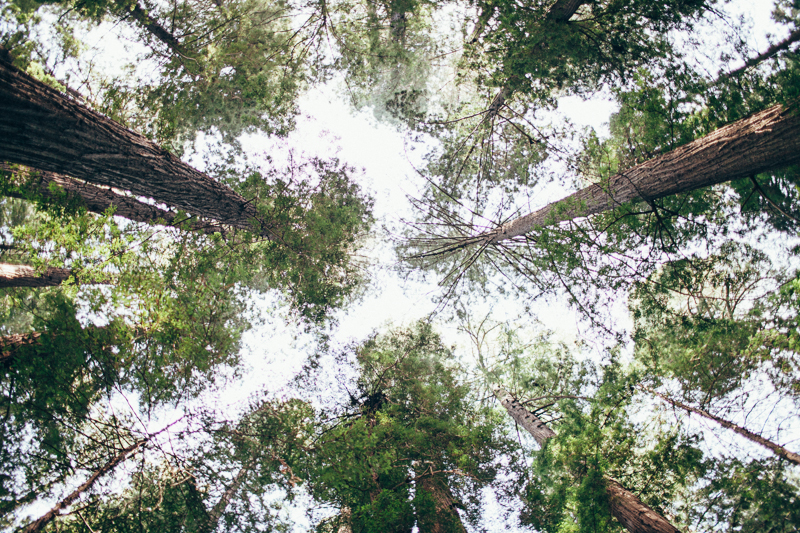 Leslie & Brandon (Blog)-27