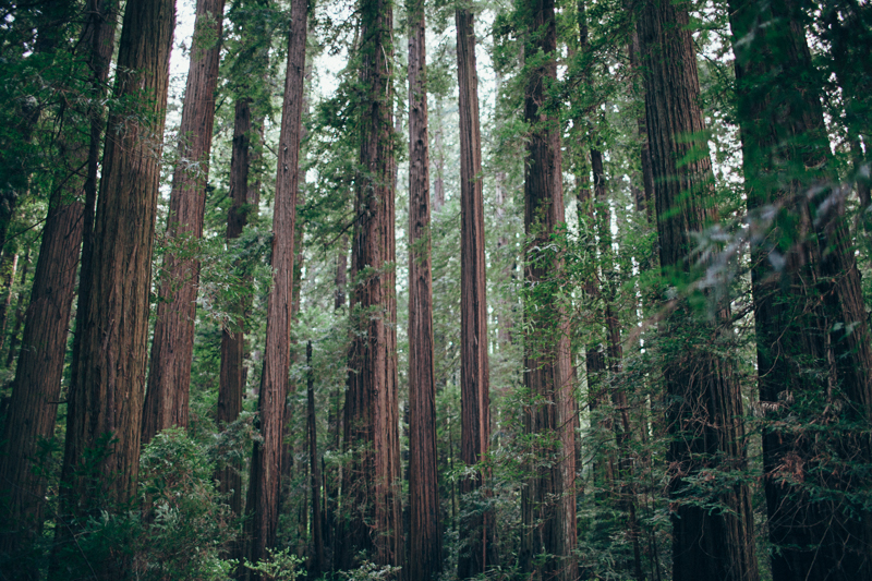 Leslie & Brandon (Blog)-3