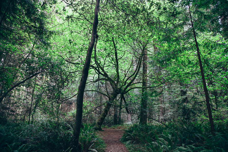 Leslie & Brandon (Blog)-4