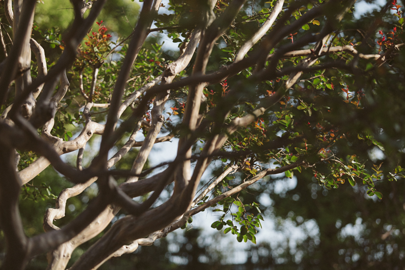 Sarah & Erick's Wedding (Blog)-23