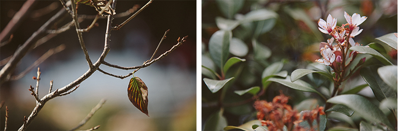 Sarah & Erick's Wedding (Blog)-25