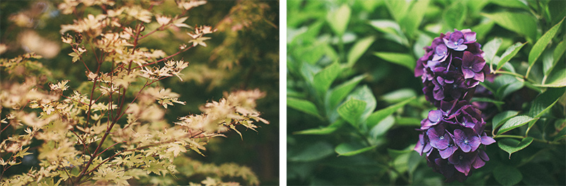 Denae & Daniel (Blog)-14