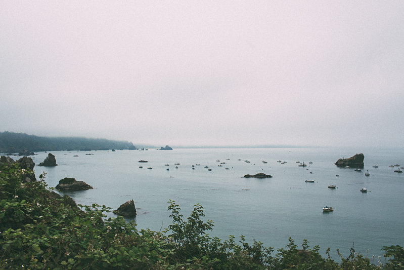 Denae & Daniel (Blog)-19