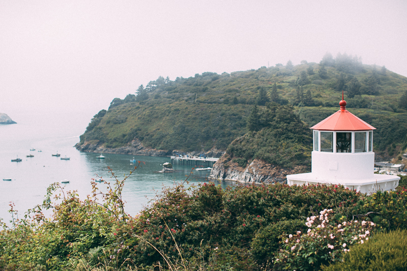 Denae & Daniel (Blog)-4