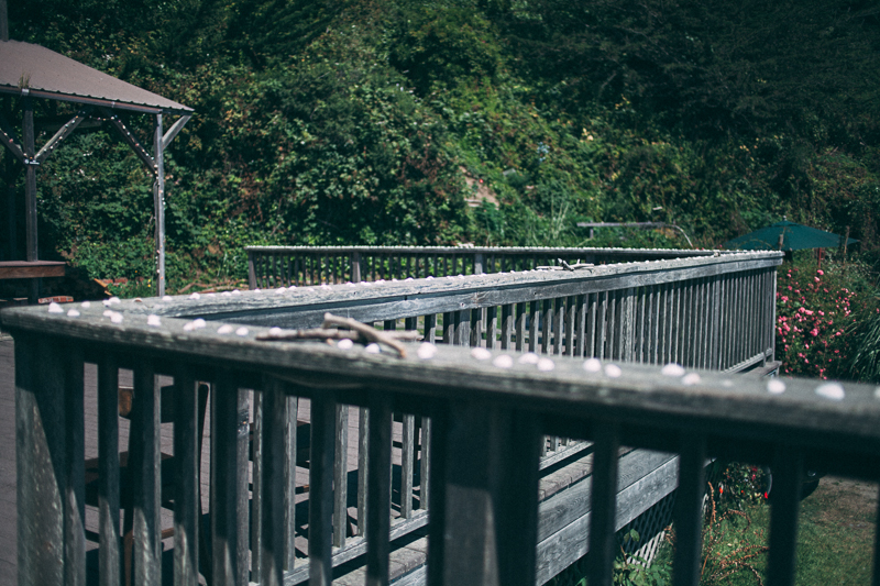 Denae & Daniel (Blog)-52