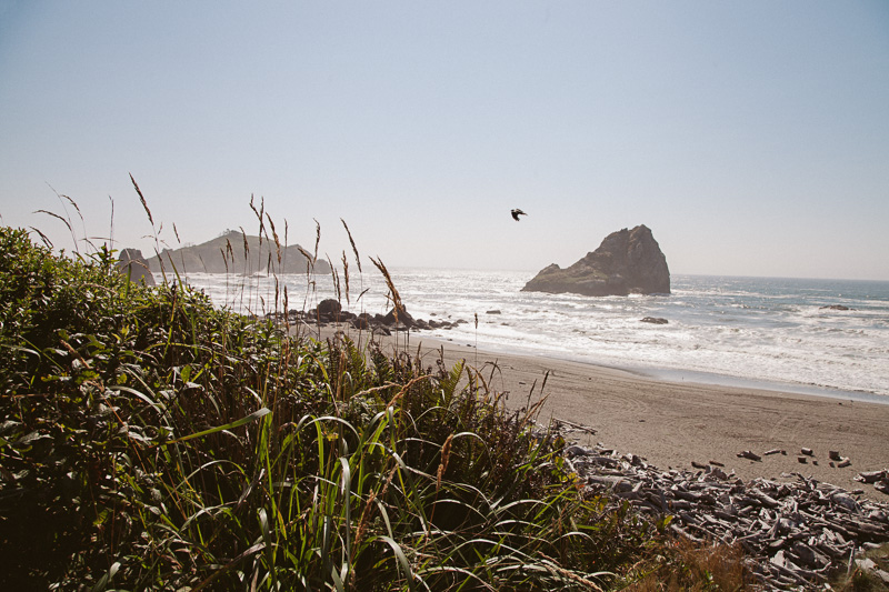 The Hawkins (Blog)-10