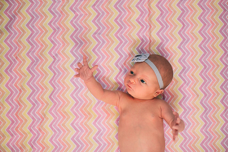 The Hawkins (Blog)-40