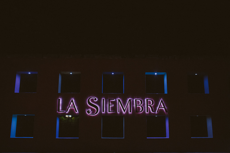 Erika & David (Blog)-108