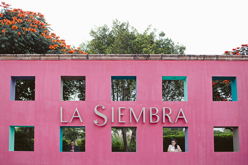 Erika & David (Blog)-24