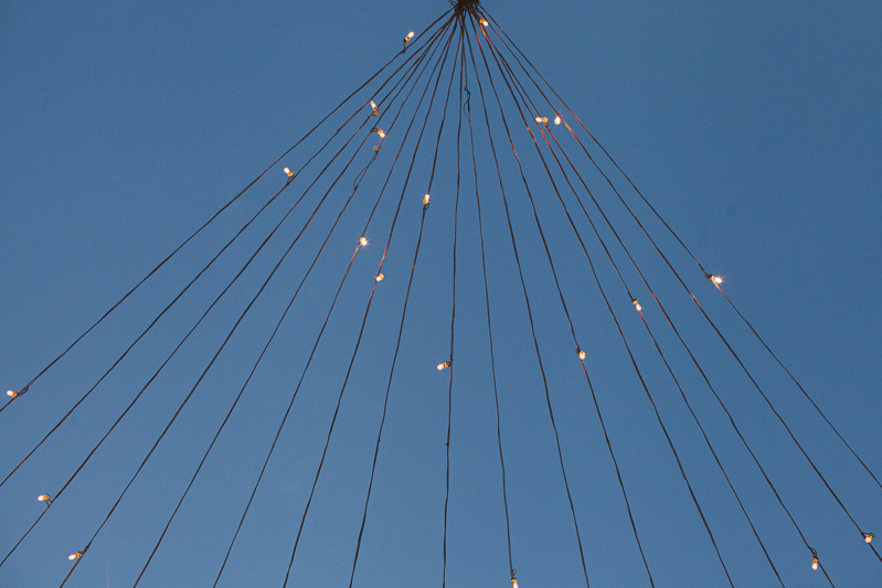 Erika & David (Blog)-61