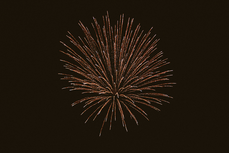 Erika & David (Blog)-98