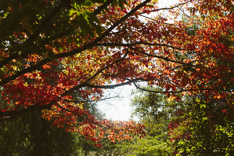 Rachael & Ike (Blog) (13)