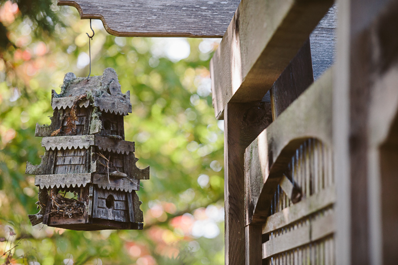 Rachael & Ike (Blog) (3)