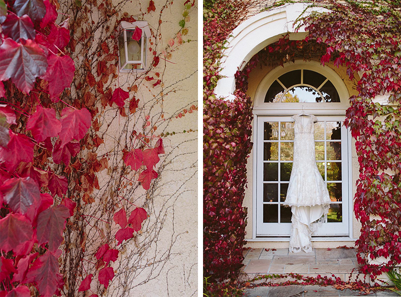 Rachael & Ike (Blog) (5)