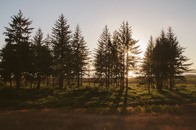 The Hawkins Everett-34