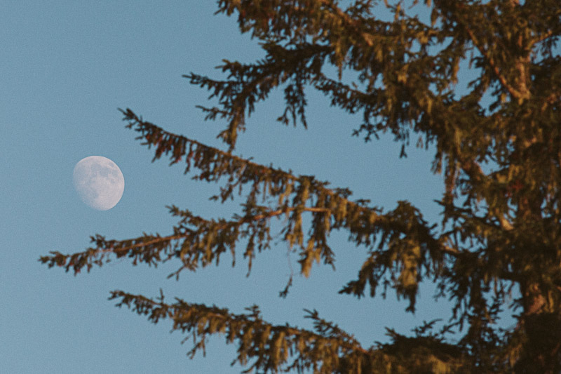 The Hawkins Everett-38