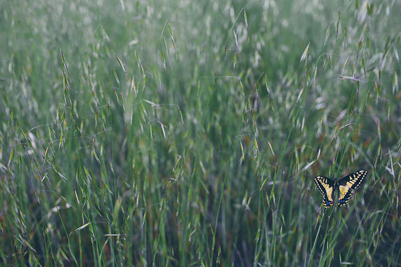 Katie & Logan (Blog)-11