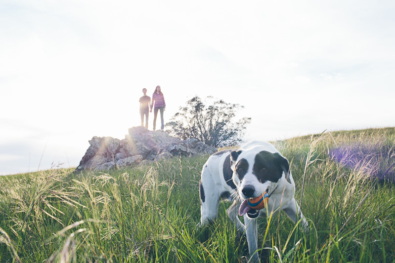 Katie & Logan (Blog)-20