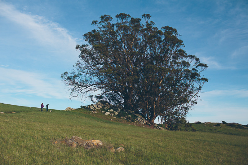 Katie & Logan (Blog)-6