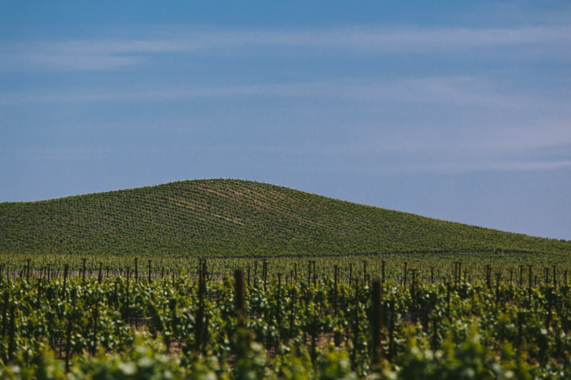 Ha & Robin's Wedding (Blog)-9