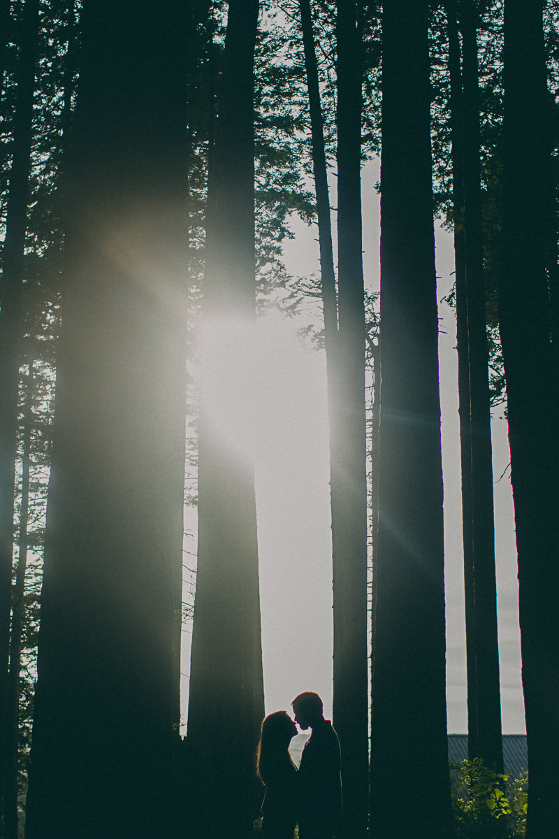 Sophie & James (Blog)-14