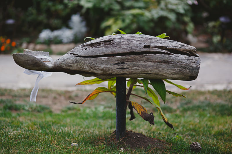 C&D Wedding (Blog)-3