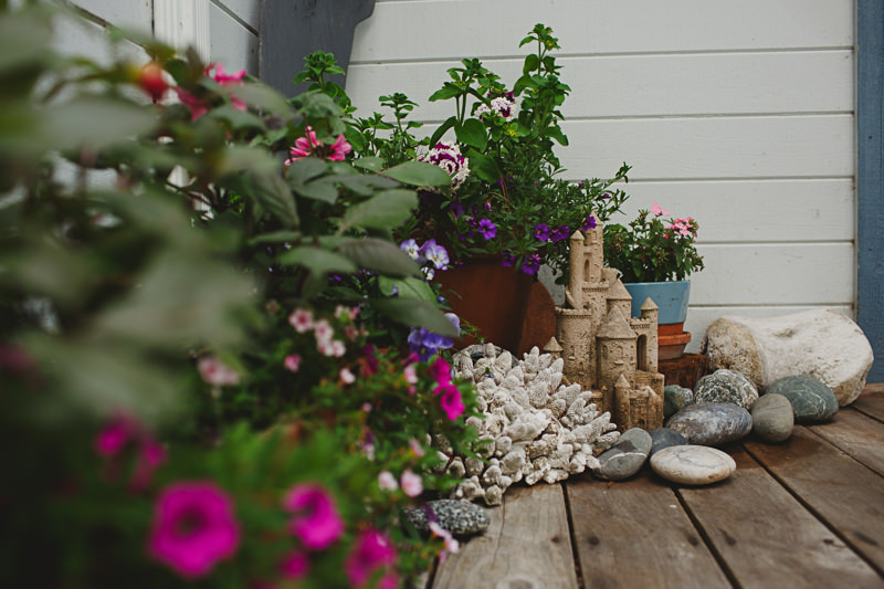 C&D Wedding (Blog)-5