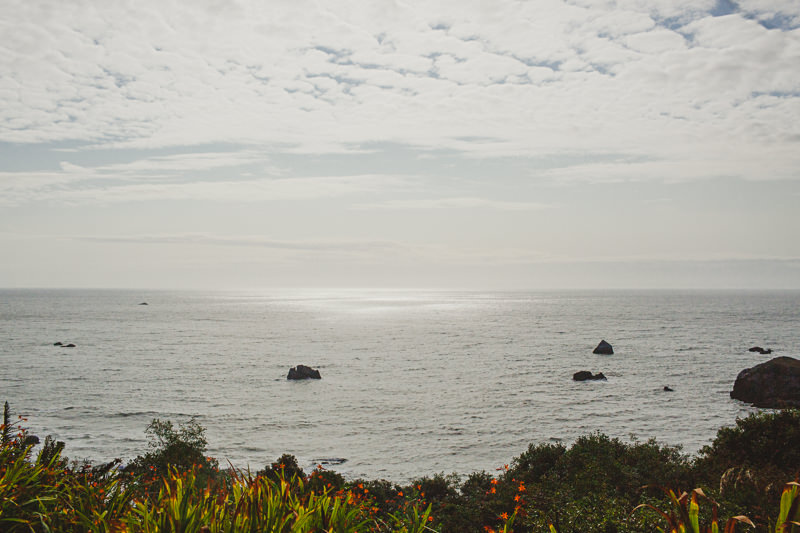 C&D Wedding (Blog)-57