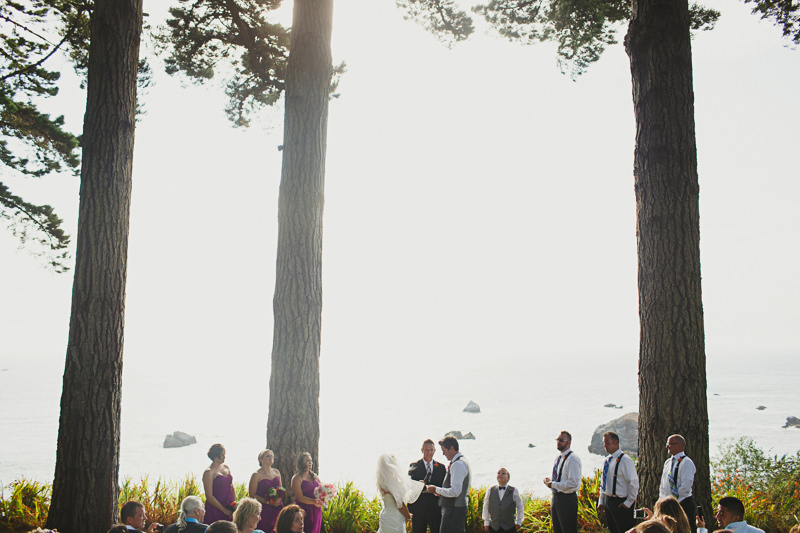 C&D Wedding (Blog)-68