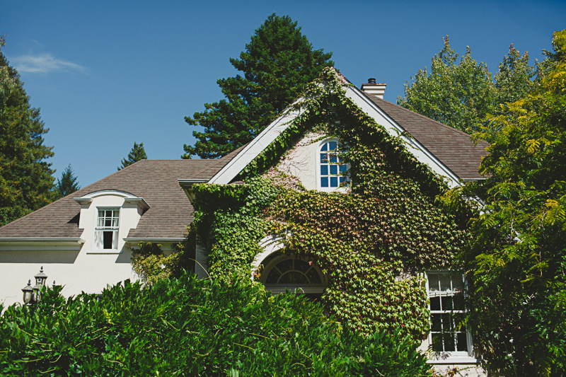 Jane & Roberto (Blog)-2