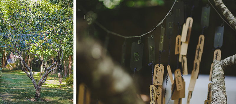 Jane & Roberto (Blog)-4