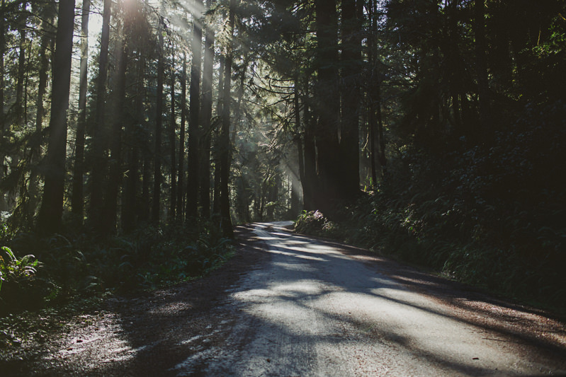 Brandi & George (Blog)-2