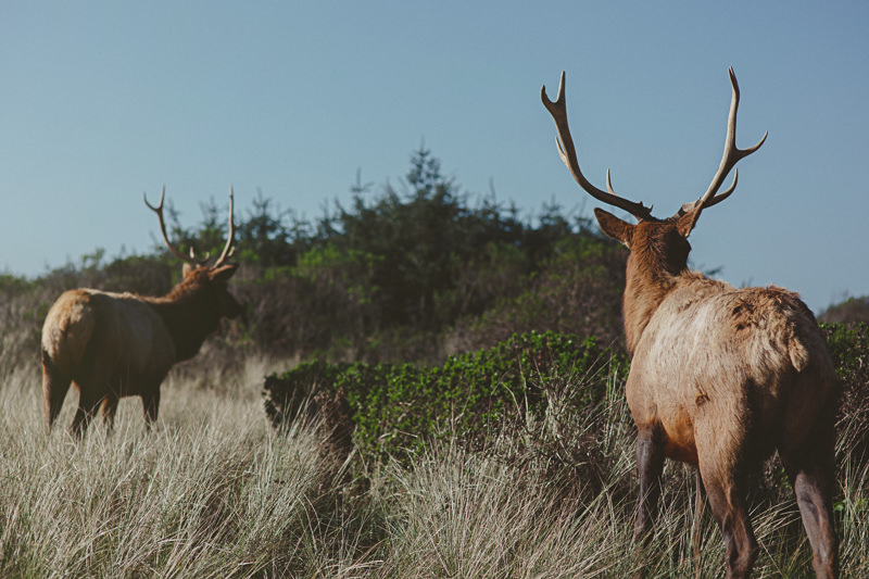 Brandi & George (Blog)-3