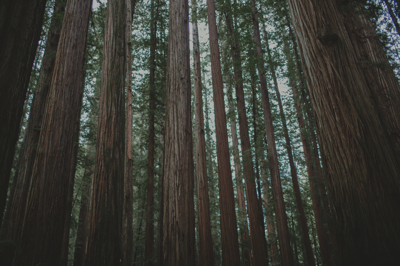 Denzil & Tim (Blog)-8