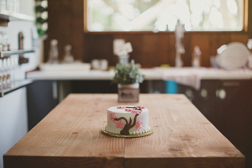 Redwoods elopement Denzil Tim-1