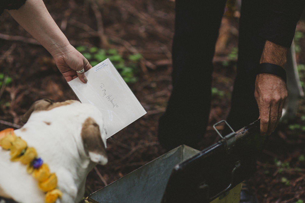 Redwoods elopement Denzil Tim-11