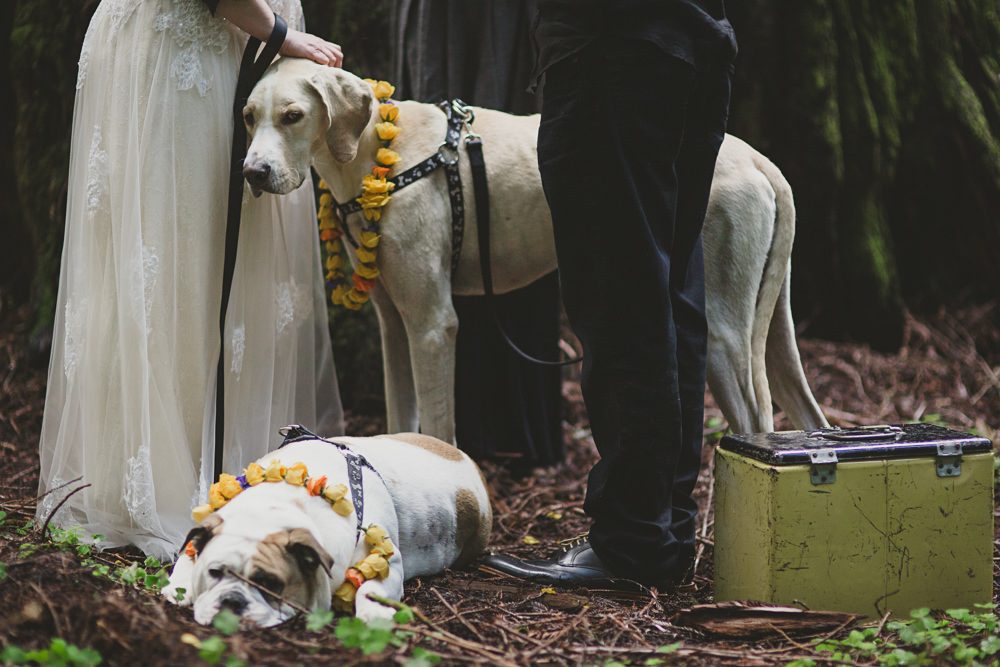 Redwoods elopement Denzil Tim-14